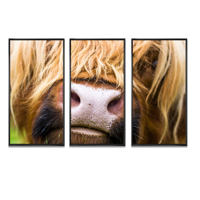 Gros plan sur les bovins des Highlands en Écosse - impression sur toile flottante 3 pièces, H 28 po x l 36 po x P 1 po
