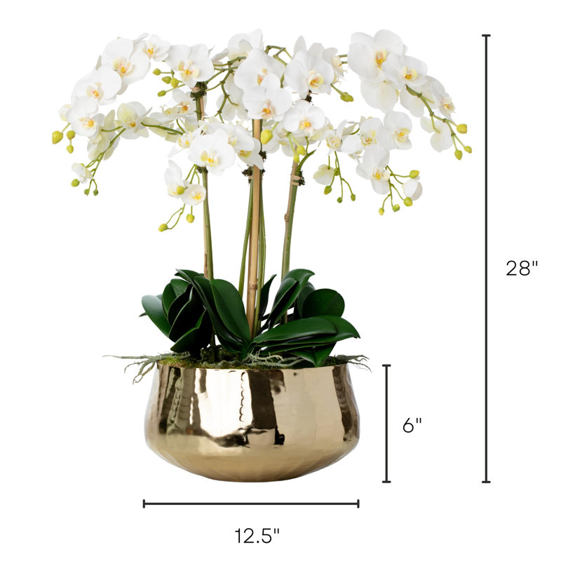 Orchid Floral Arrangements in Planter