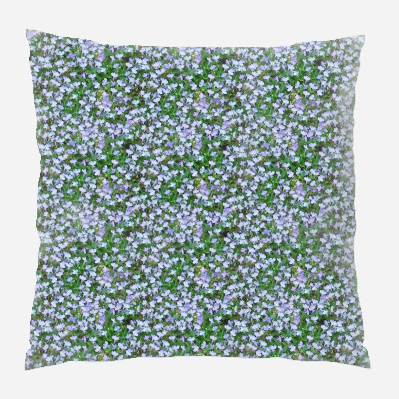 Coussin lobelia, Intérieur