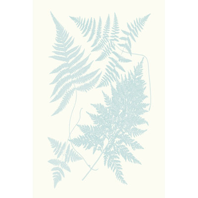 Serene Ferns IV - Wrapped Canvas Print