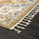 Oriental Indoor Rug