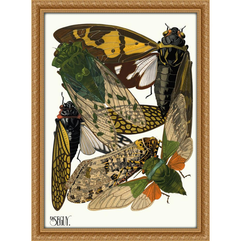Insectes Pl.12 (1929)