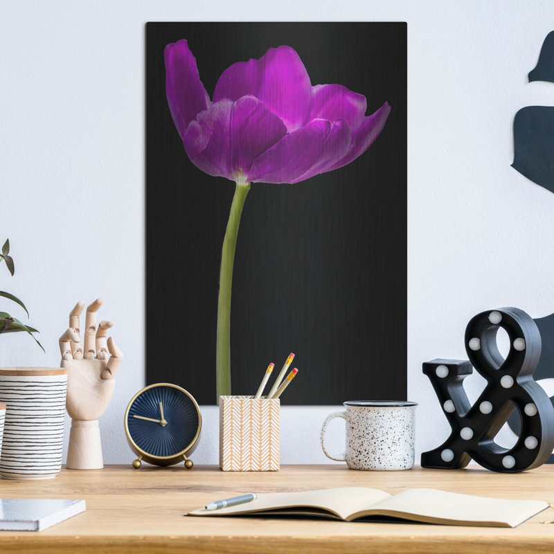 Lueur de tulipe mauve par Pamela Plummer, H 16 po x l 12 po