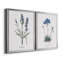 Lavande - ensemble de 2 reproductions d'impressions-467967546-467967545-467967544