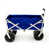 Blue is out of stock selected