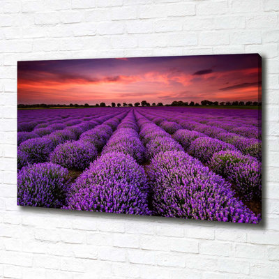 Lavender Fields Landscape - Wrapped Canvas Print