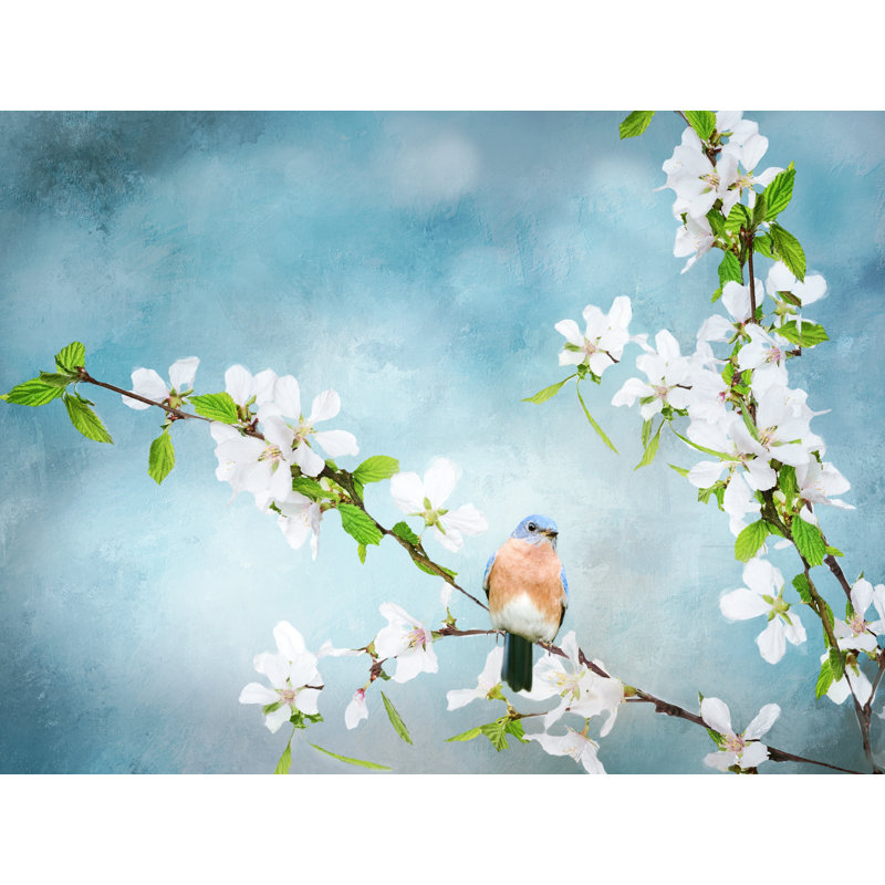 Blue Birds In Cherry Blossoms 2, Black Framed Paper, 16" H x 20" W