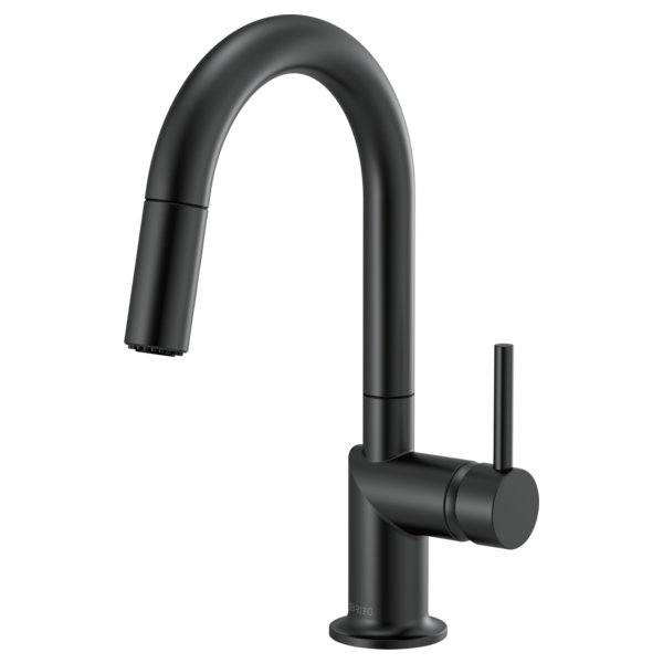 Odin® Pull-Down Prep Faucet with Arc Spout, Matte Black, Lever
