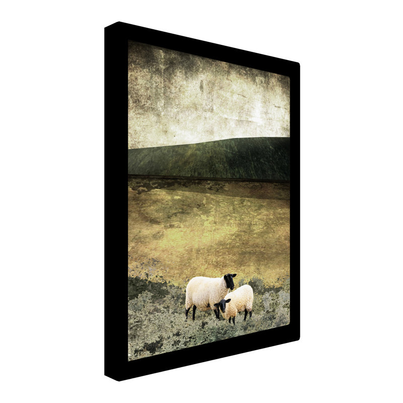 Deux moutons dans un pré