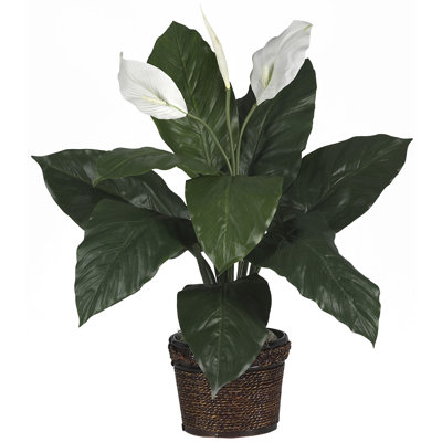 Plante spathyfillum de bureau en soie dans un pot de fleurs