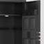 Steel Gun Cabinet With Biometric Lock