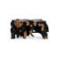 Cypress Root 40" Square Coffee Table Black/Natural