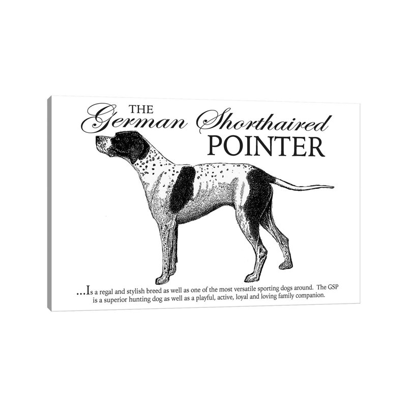 Vintage German Shorthaired Pointer Storybook Style by Traci Anderson - Wrapped Canvas Gallery-Wrapped Canvas Giclée