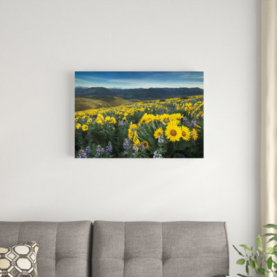 " Methow Valley Wildflowers IV " by Alan Majchrowicz