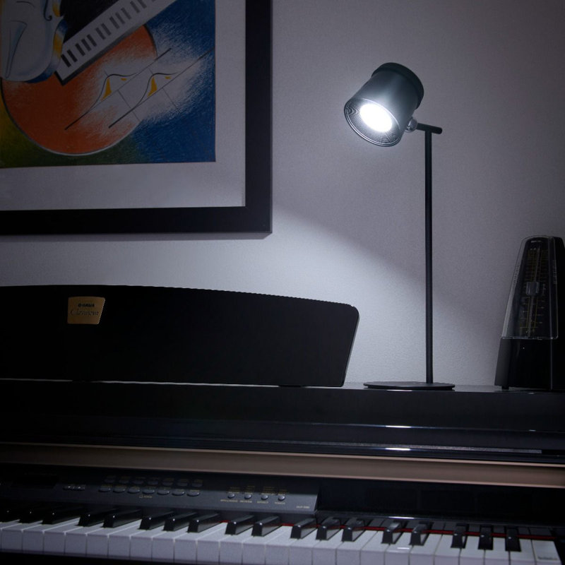 Metal Desk Lamp