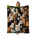 Cat Group Portrait