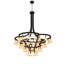 58 - Light Chandelier