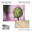 Kurt Shaffer Garlic Seed Head Study On Pink Wood Slat Art-1517560938