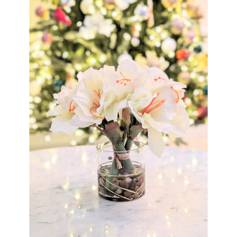 Amaryllis arrangement dans un vase