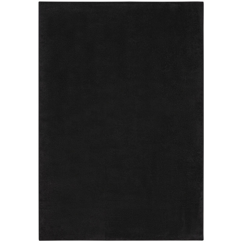 Tapis intérieur noir 5 pi x 7 pi résistant aux taches