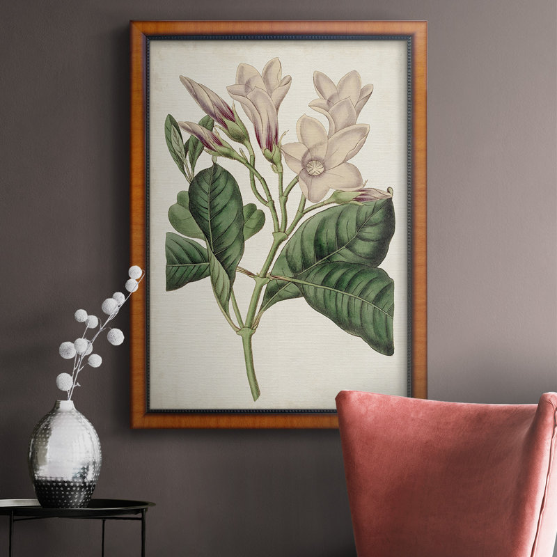 Toile encadrée de qualité supérieure Antique Botanical Collection, H 20 po x l 16 po x P 2,5 po