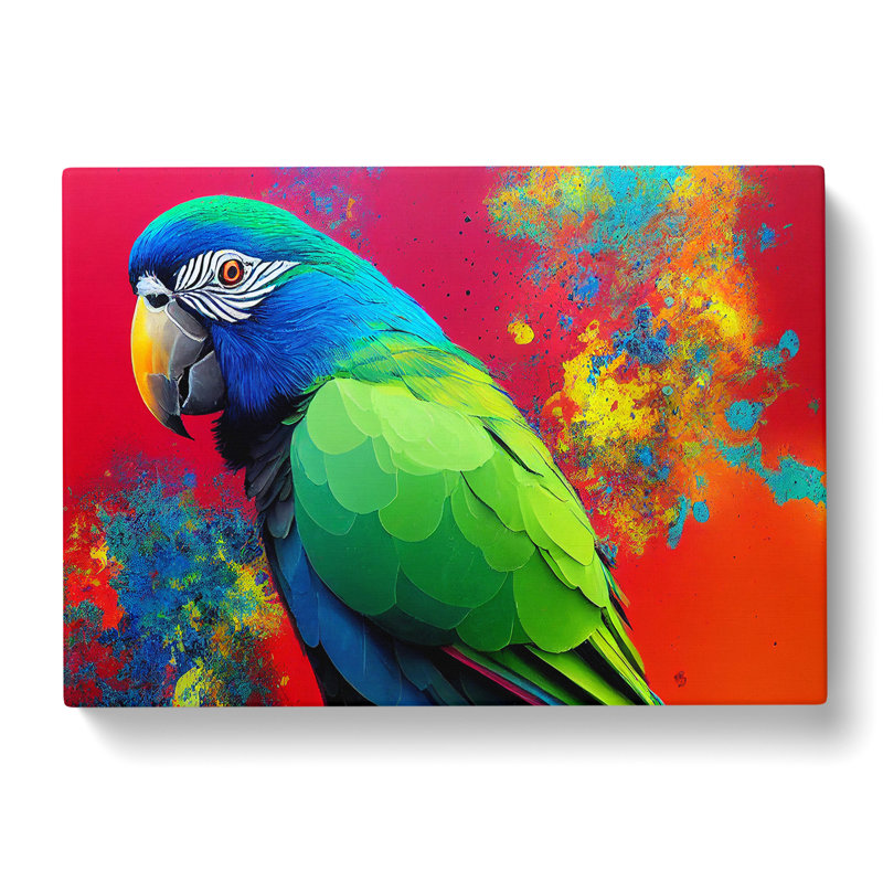 Painted Parrot Vol.2 - Wrapped Canvas, 35cm H x 50cm W x 3cm D