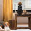 Lit superposé pour chien et chats avec marche, coussin amovible et bloc-notes, intérieur, marchepied pour chat