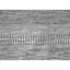 Area Rug in Light Gray-64790118