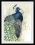 Great Big Canvas Watercolor Peacock 