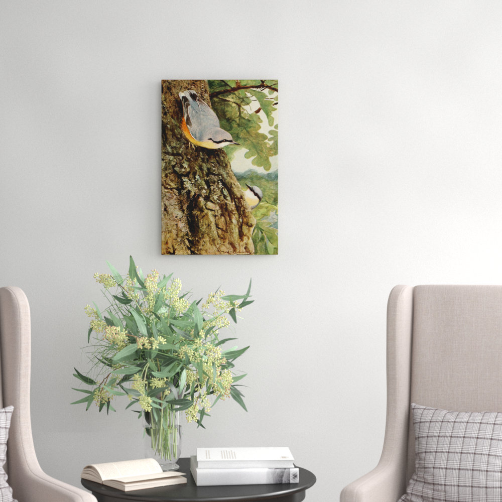Vintage Nuthatch by Wilhelm Kuhnert - Wrapped Canvas