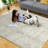 Indoor Rug-1139043091