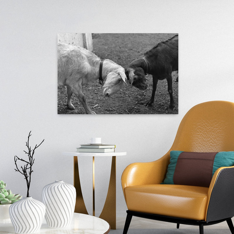 A Black & A White Goat Butting Heads Classic Retro Vintage Animal Landscape Wall Art, H 16 po x l 24 po
