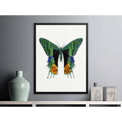 Comeau Single Picture Frame Print