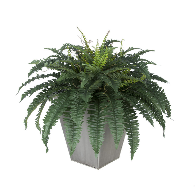 Plantes artificielles 12" en pot de fleurs, Crème