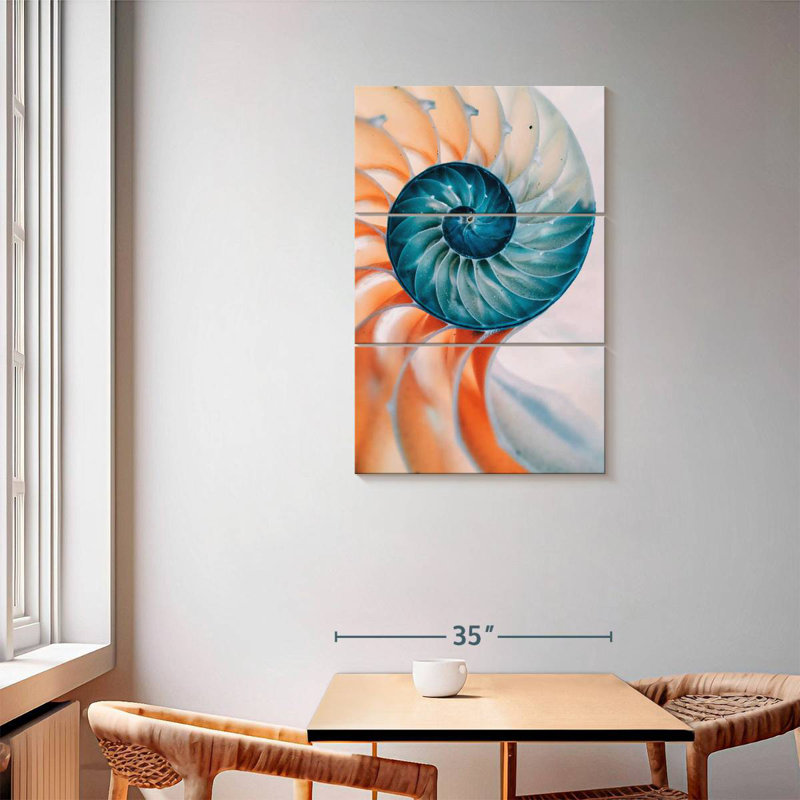 Brampt Translucent Nautilus Shell, 57" H x 36" W