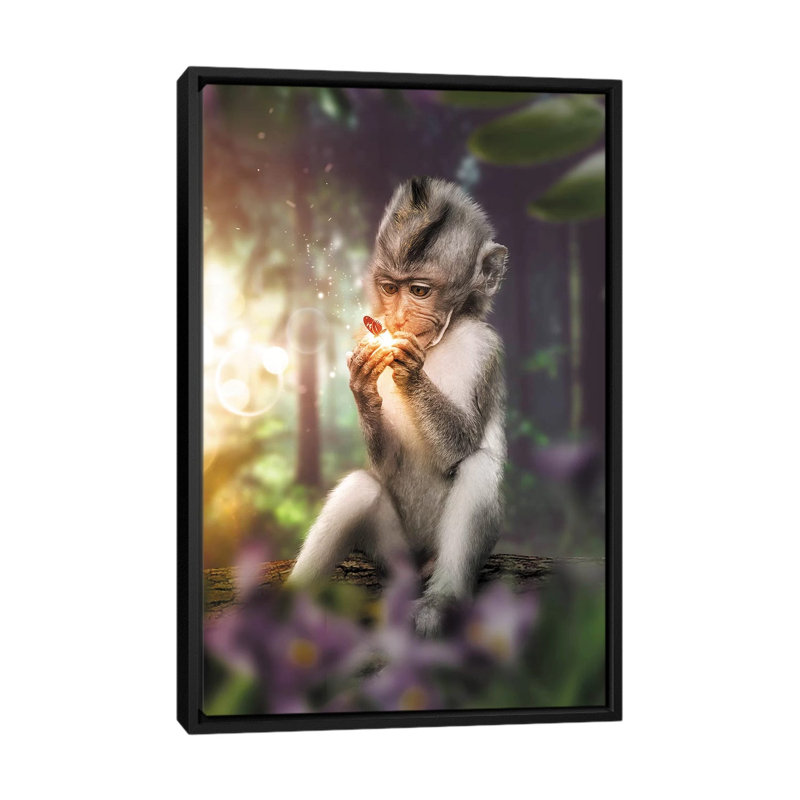 The Monkey & Butterfly by Zenja Gammer - Print on Canvas, 66.04 cm H x 45.72 cm W, Black Framed