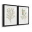 Reproduction encadrée de qualité supérieure simple Sprig III - prête à être accrochée-756675091-756675089