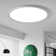 Deshunda 1 - Light 19.7" Simple Round Acrylic LED Flush Mount
