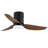 Andricka 40'' Ceiling Fan with LED Lights