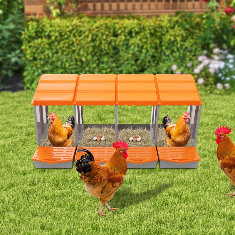 4-Compartment Chicken Nesting Box With Egg Collection, Orange