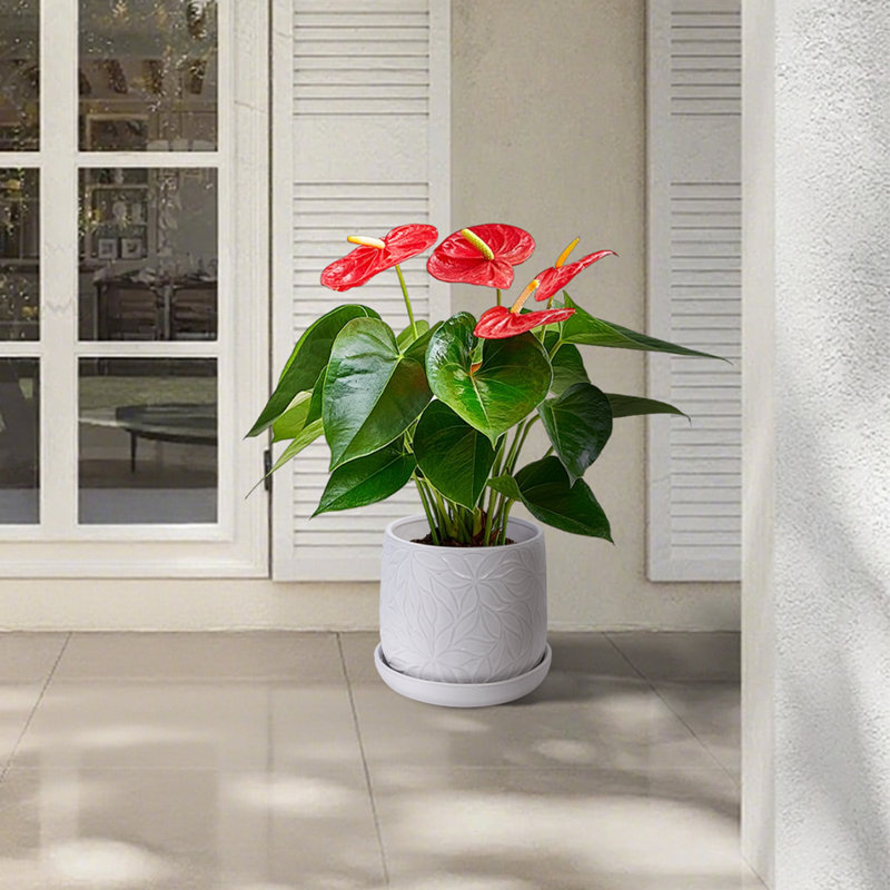 Pot de fleurs en céramique colorée, Blanc brillant