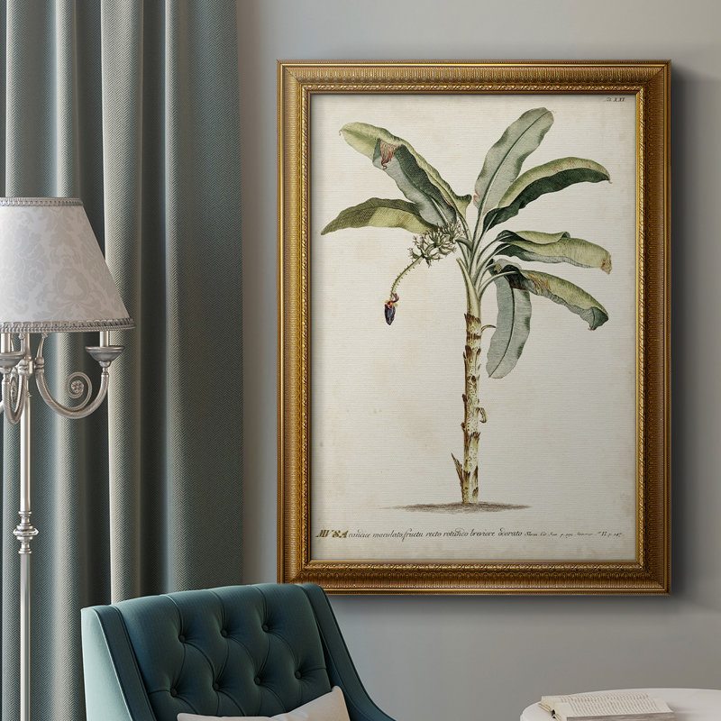 Toile encadrée Banana Palm II - prête à être accrochée, L 16 po x H 20 po