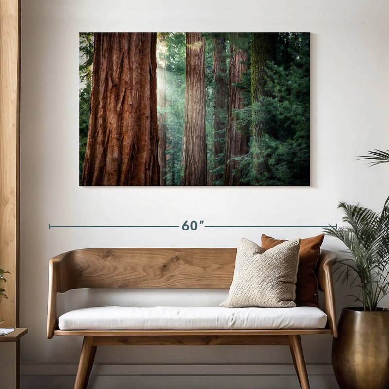 Harnek Sunkissed Sequoia Trees, 32" H x 48" W