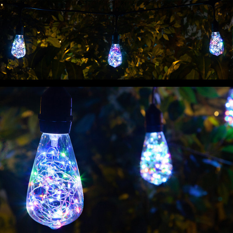 Kallie Outdoor 10 - Bulb 30'' Plug-in String Light, Clear/Purple