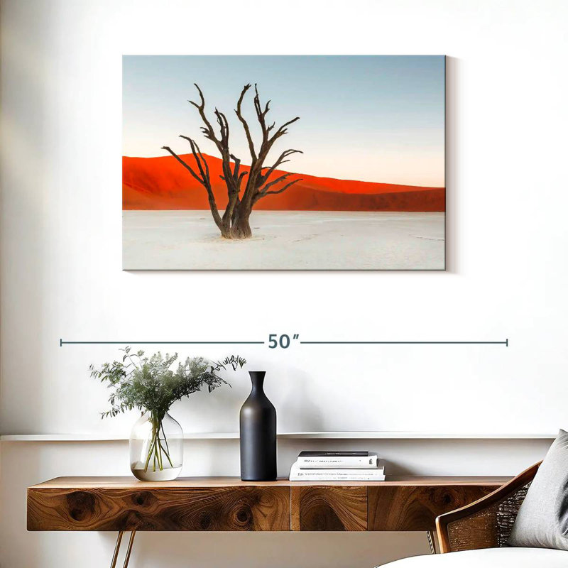 Harnek Deadvlei Bare Camel Thorn Tree