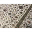 Chantel Oriental Area Rug