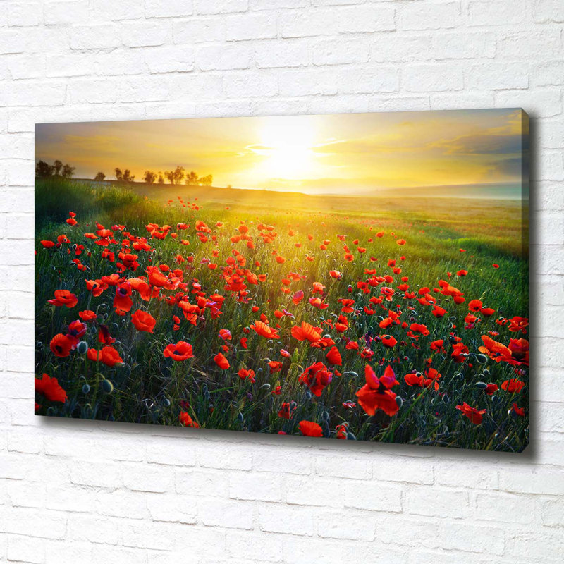 Field Of Poppies - Wrapped Canvas Print
