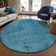 Nayelin Washable Oriental Indoor / Outdoor Rug