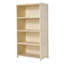 4 - Door Rectangle Accent Cabinet