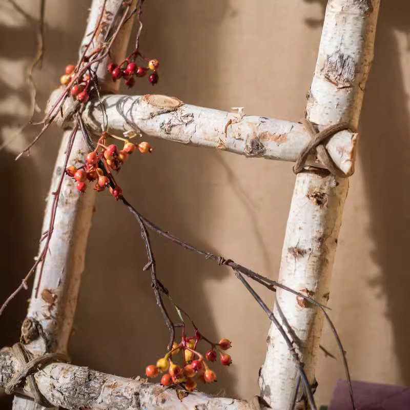 Chakia Decorative Ladder, 47.2" H x 30" W x 3" D